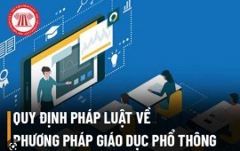 Các ứng dụng mới nhất của công nghệ trong lĩnh vực giáo dục phổ thông