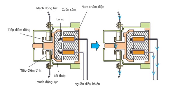 cấu tạo contactor khởi động từ