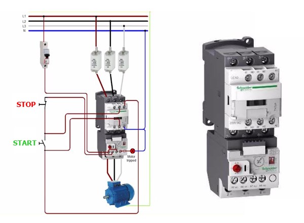 cấu tạo contactor khởi động từ